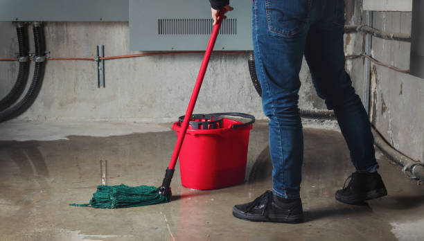 Best Professional water damage repair  in Rheems, PA