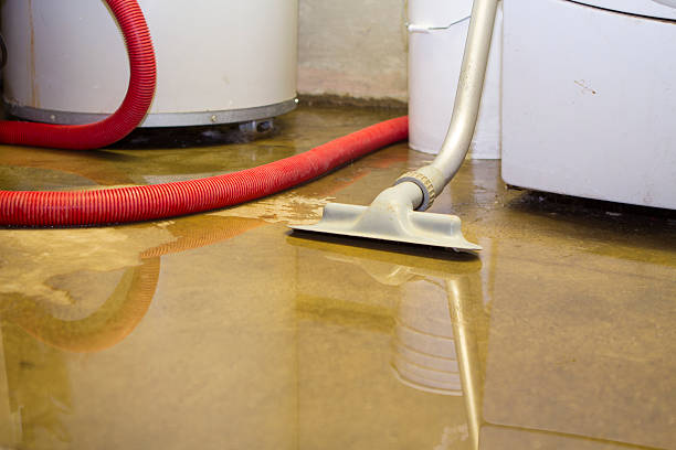  Rheems, PA Water damage restoration Pros